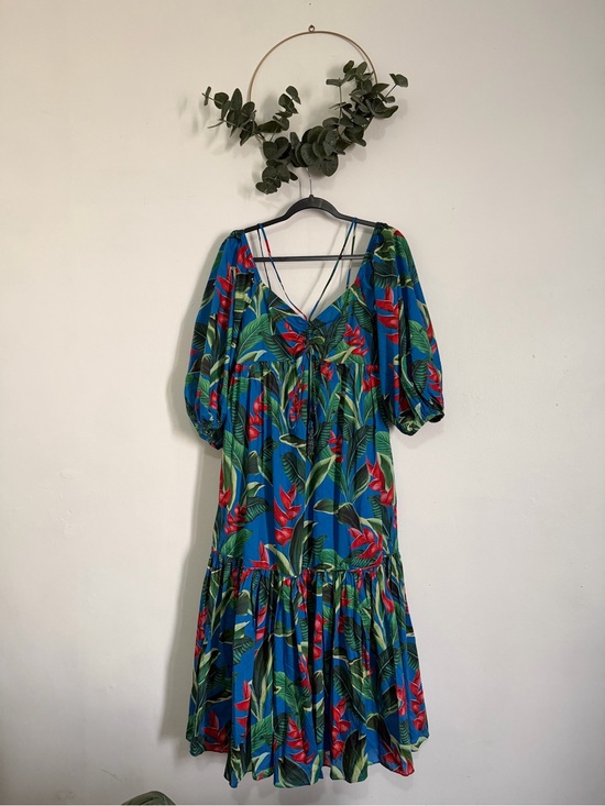 FARM Rio Dresses & Skirts - FARM Rio Dream Garden Blue Maxi Dress with Red Floral & Green Leaf Print